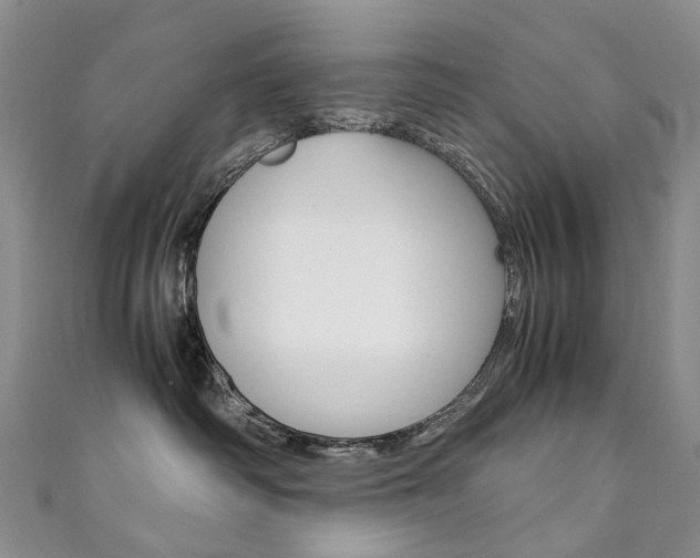 X0000111370334200907101022