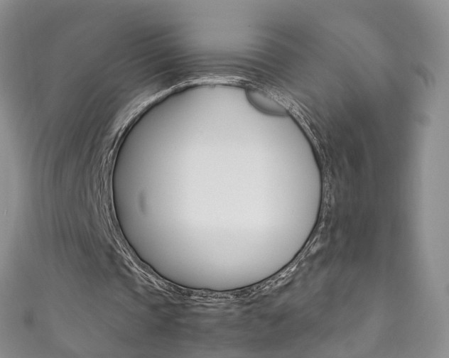 X0000111370337200907101021