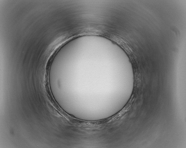 X0000111370338200907101021