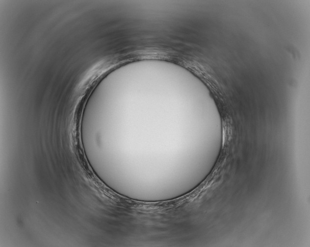 X0000111370339200907101021