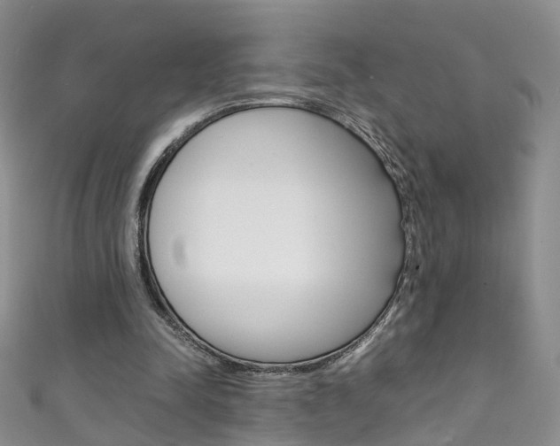 X0000111370342200907101021