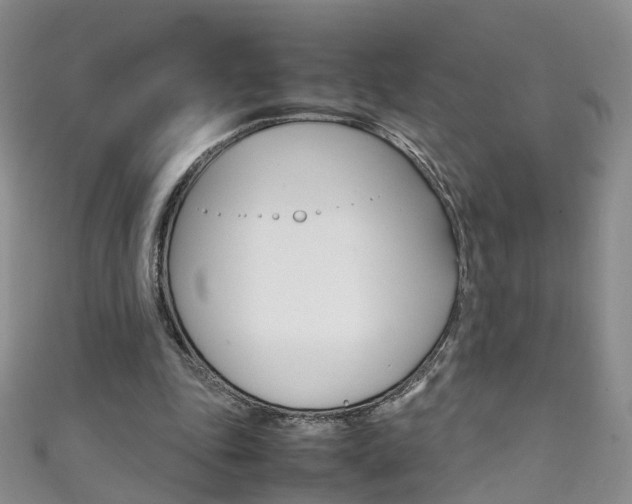 X0000111370343200907101021