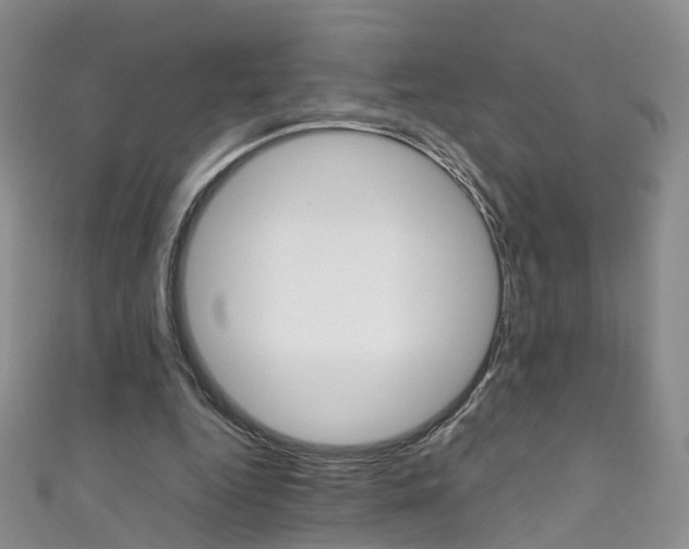 X0000111370344200907101021