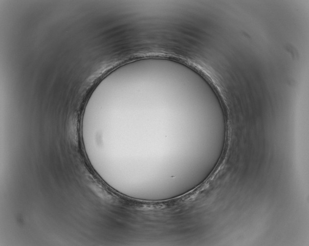 X0000111370345200907101021