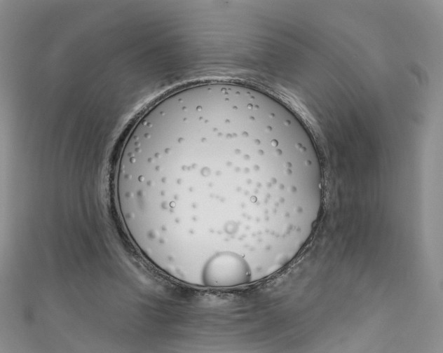 X0000111370346200907101021