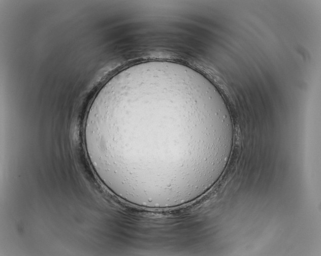X0000111370347200907101021