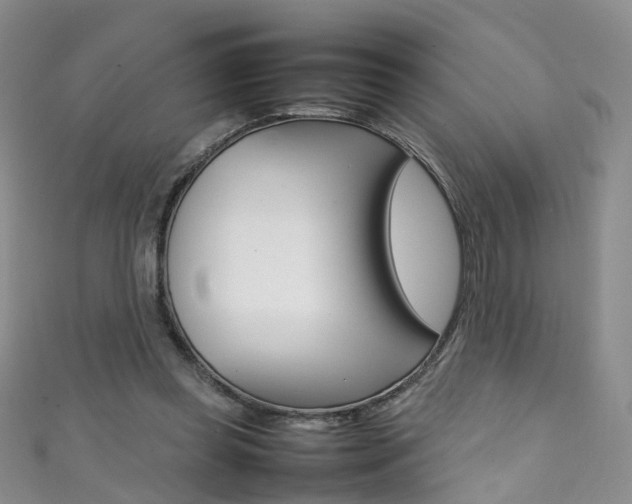X0000111370349200907101021