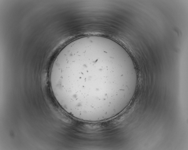X0000111370351200907101021