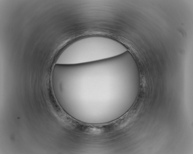 X0000111370352200907101021