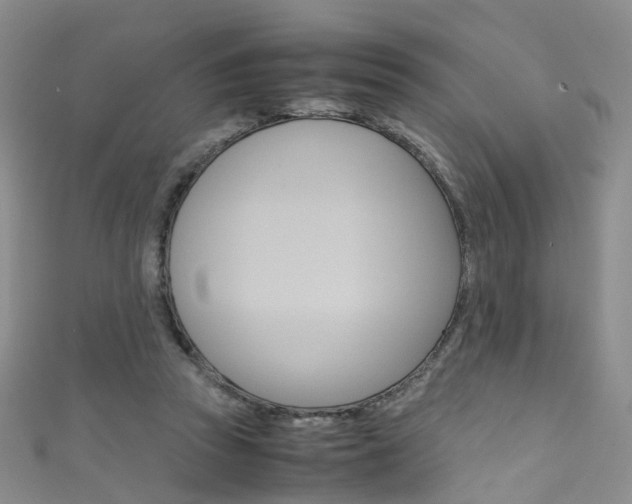 X0000111370353200907101021