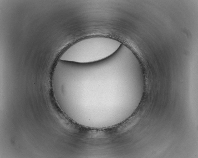 X0000111370354200907101021