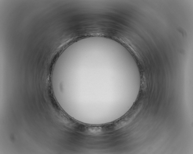 X0000111370355200907101021