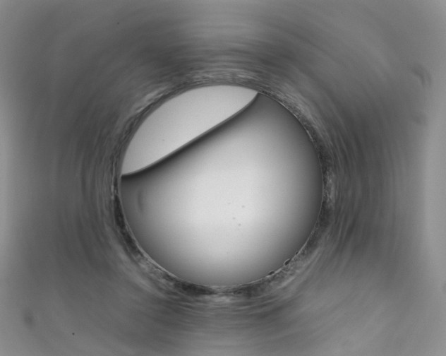 X0000111370356200907101021
