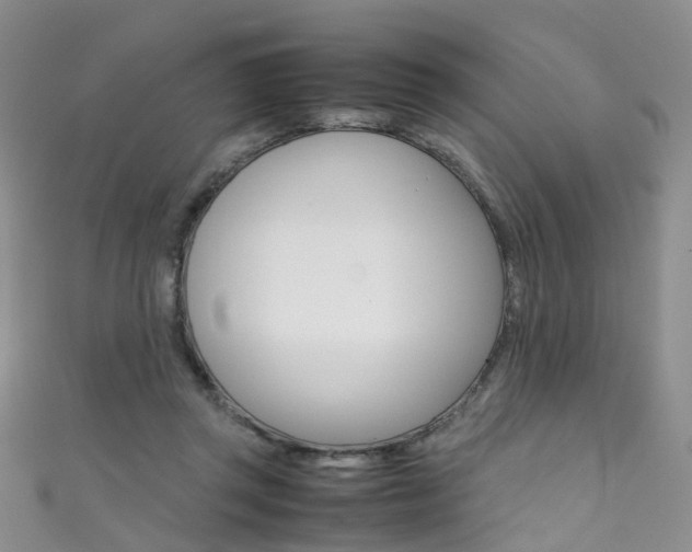 X0000111370357200907101021