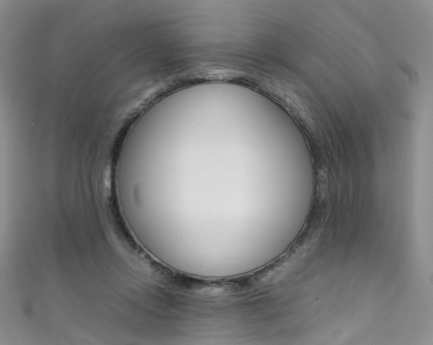 X0000111370358200907101021