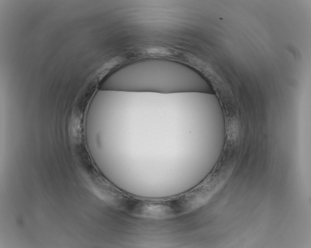 X0000111370360200907101022