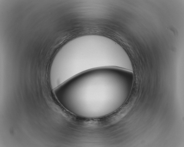 X0000111370362200907101022