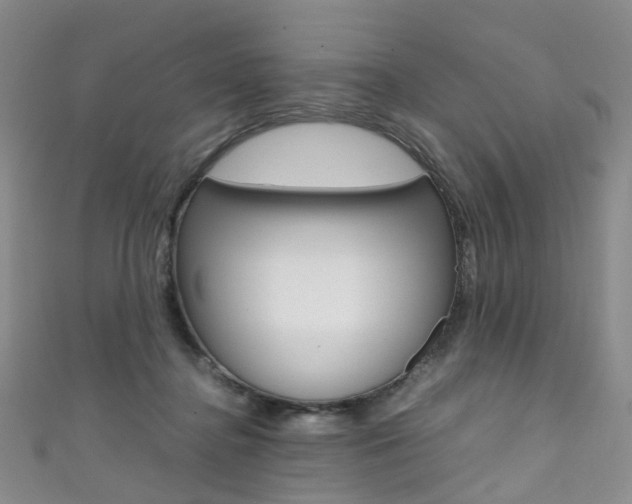 X0000111370364200907101022