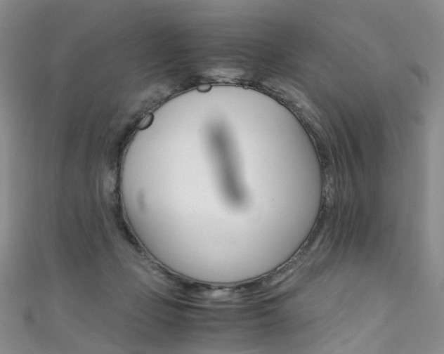 X0000111370365200907101022