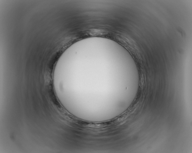 X0000111370367200907101022