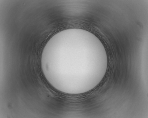 X0000111370368200907101022