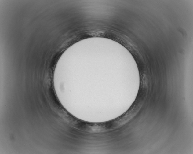 X0000111370370200907101022