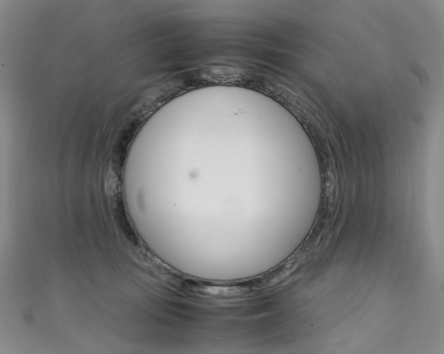 X0000111370371200907101022