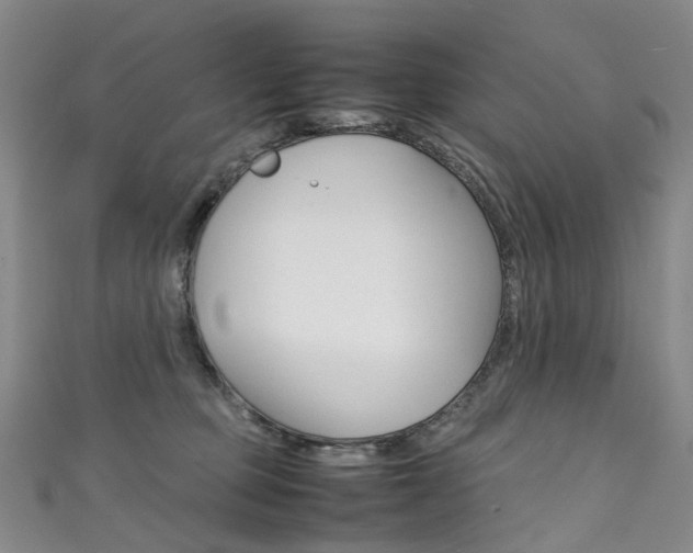 X0000111370373200907101022