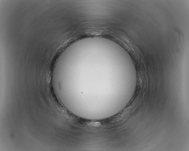 X0000111370374200907101022
