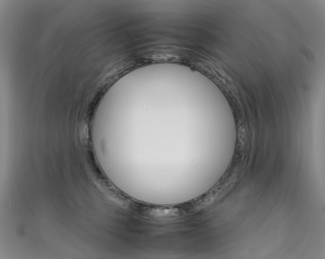 X0000111370375200907101022