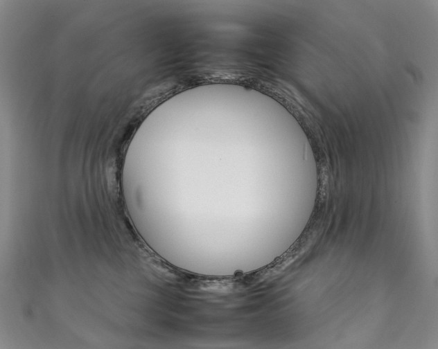 X0000111370377200907101022