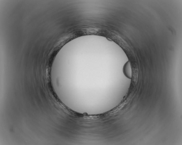 X0000111370378200907101022