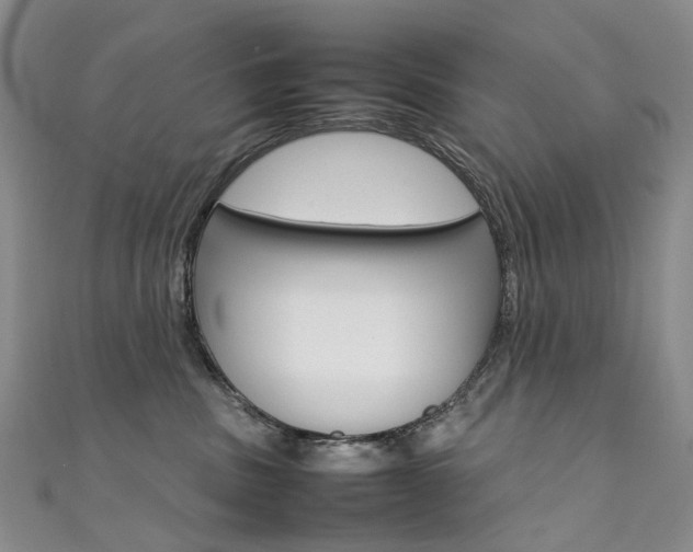 X0000111370379200907101022
