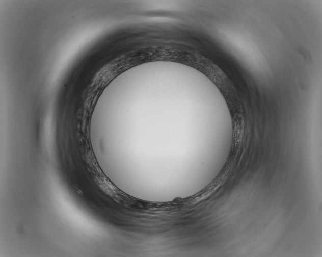 X0000111370381200907101022