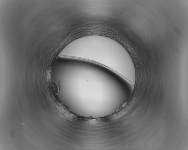 X0000111370382200907101022