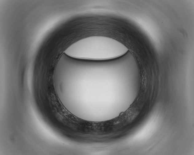 X0000111370383200907101022