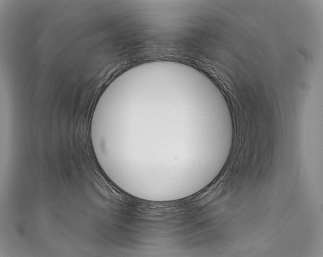 X0000111370384200907101022