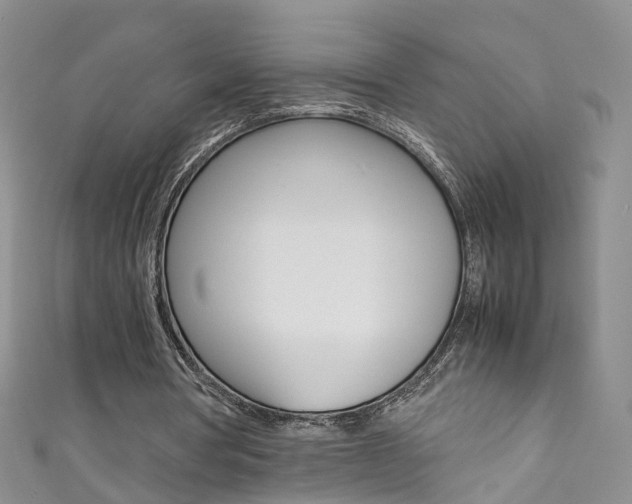 X0000111370386200907101021