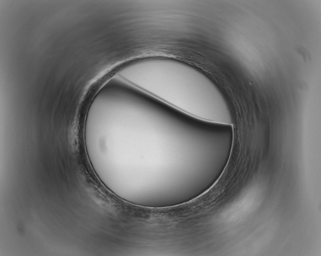 X0000111370388200907101021