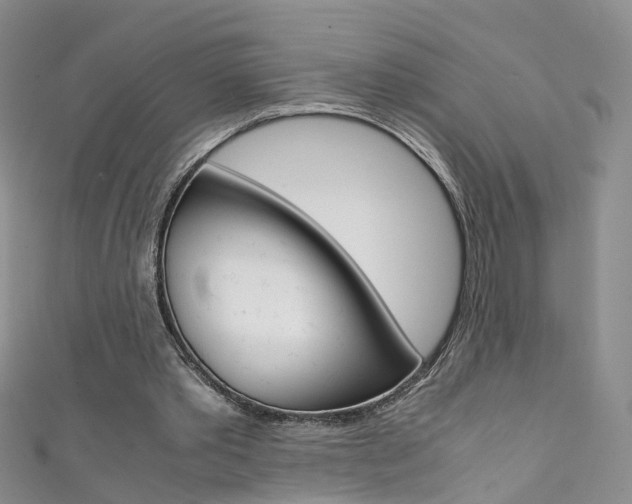 X0000111370389200907101021