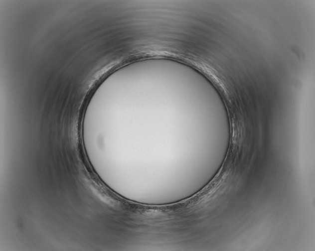 X0000111370390200907101021
