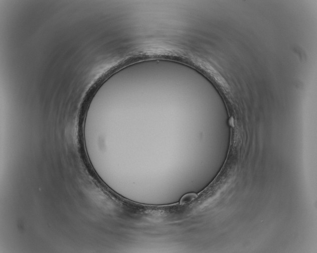 X0000111370391200907101021