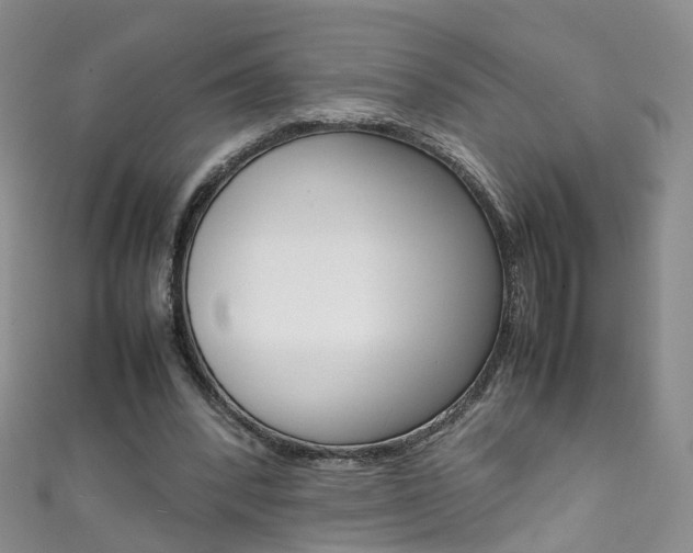 X0000111370392200907101021
