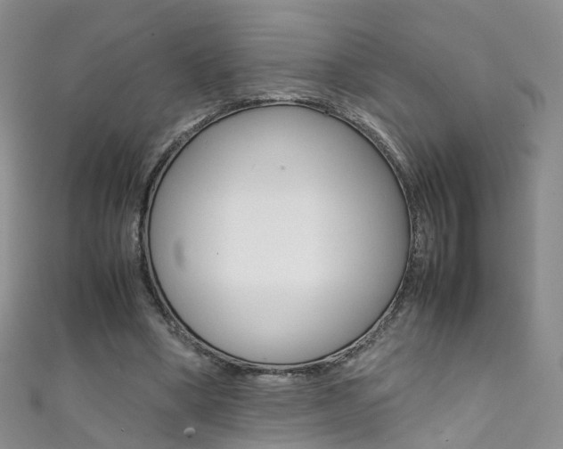X0000111370394200907101021