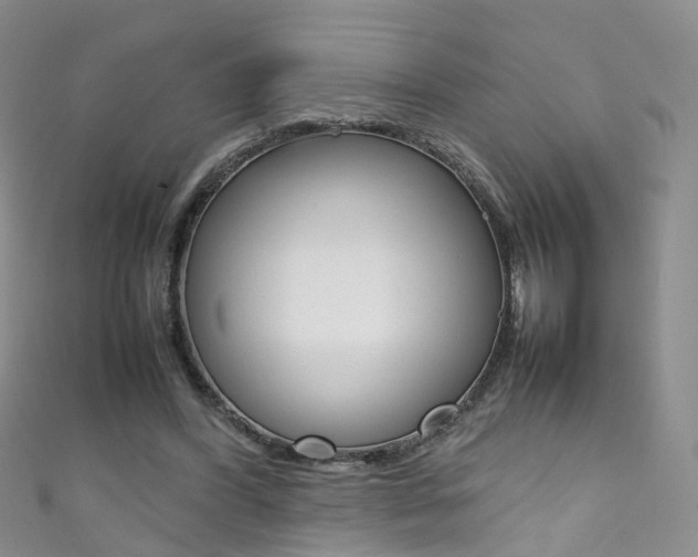 X0000111370396200907101021