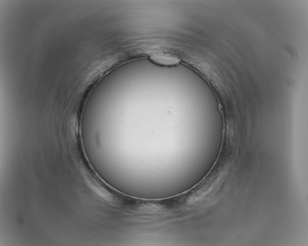 X0000111370397200907101021
