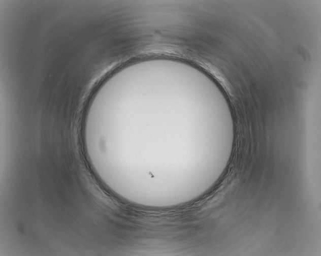 X0000111370399200907101021