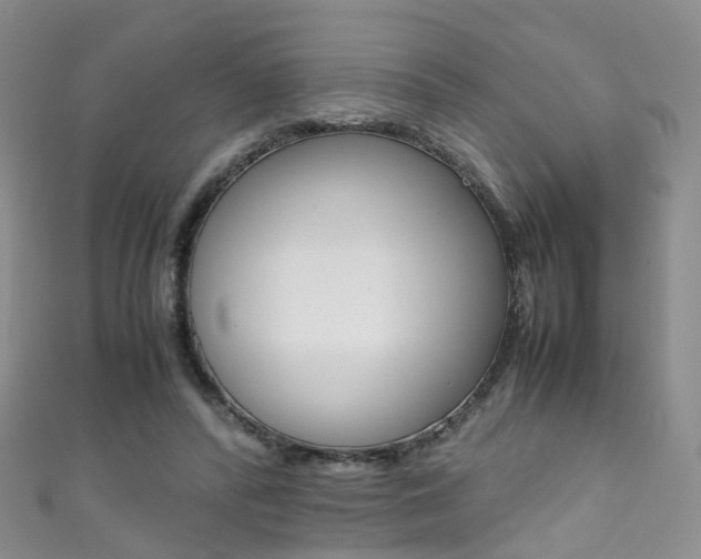 X0000111370400200907101021
