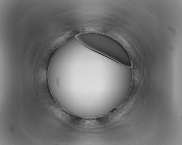 X0000111370401200907101021
