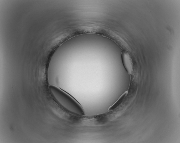 X0000111370403200907101021